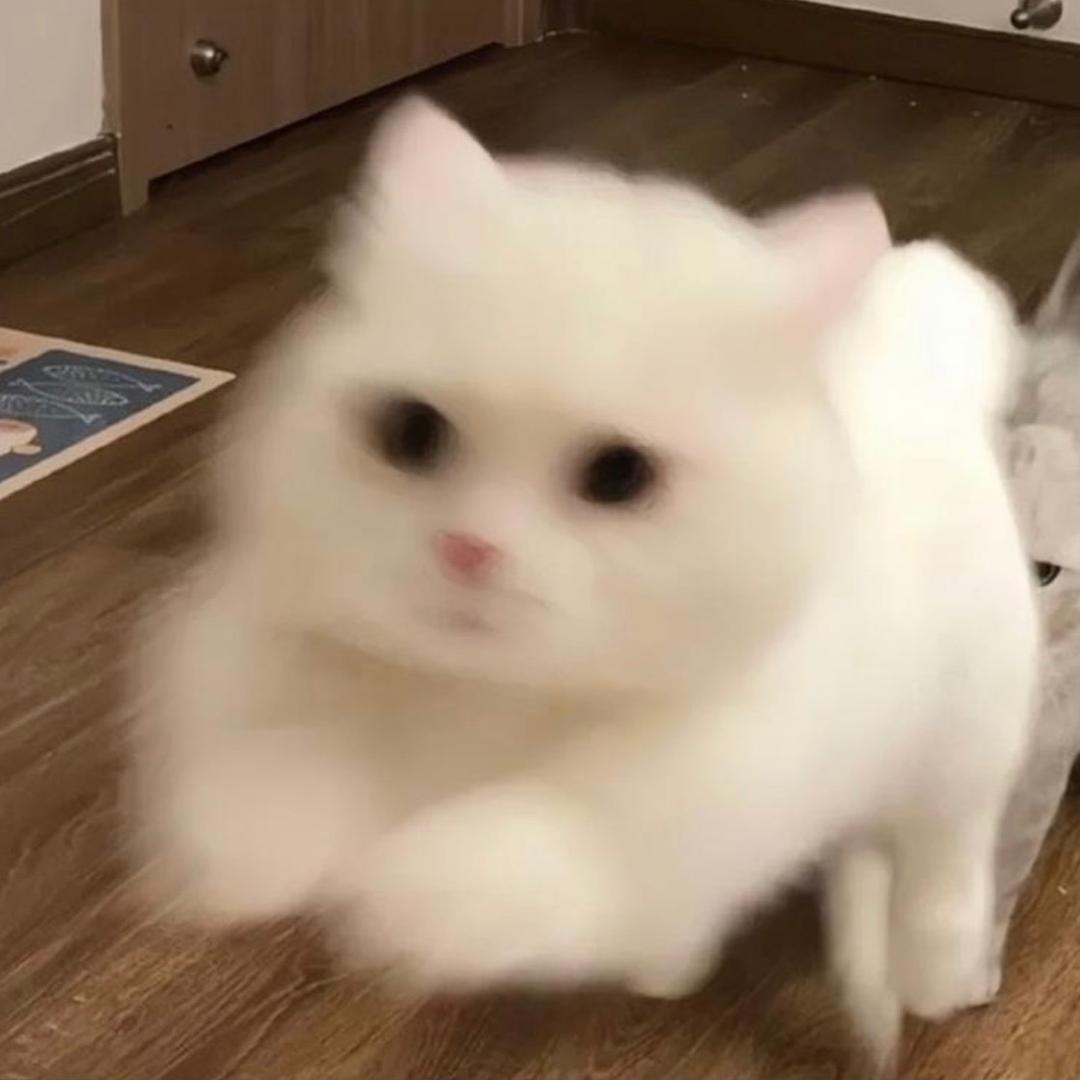 信誉