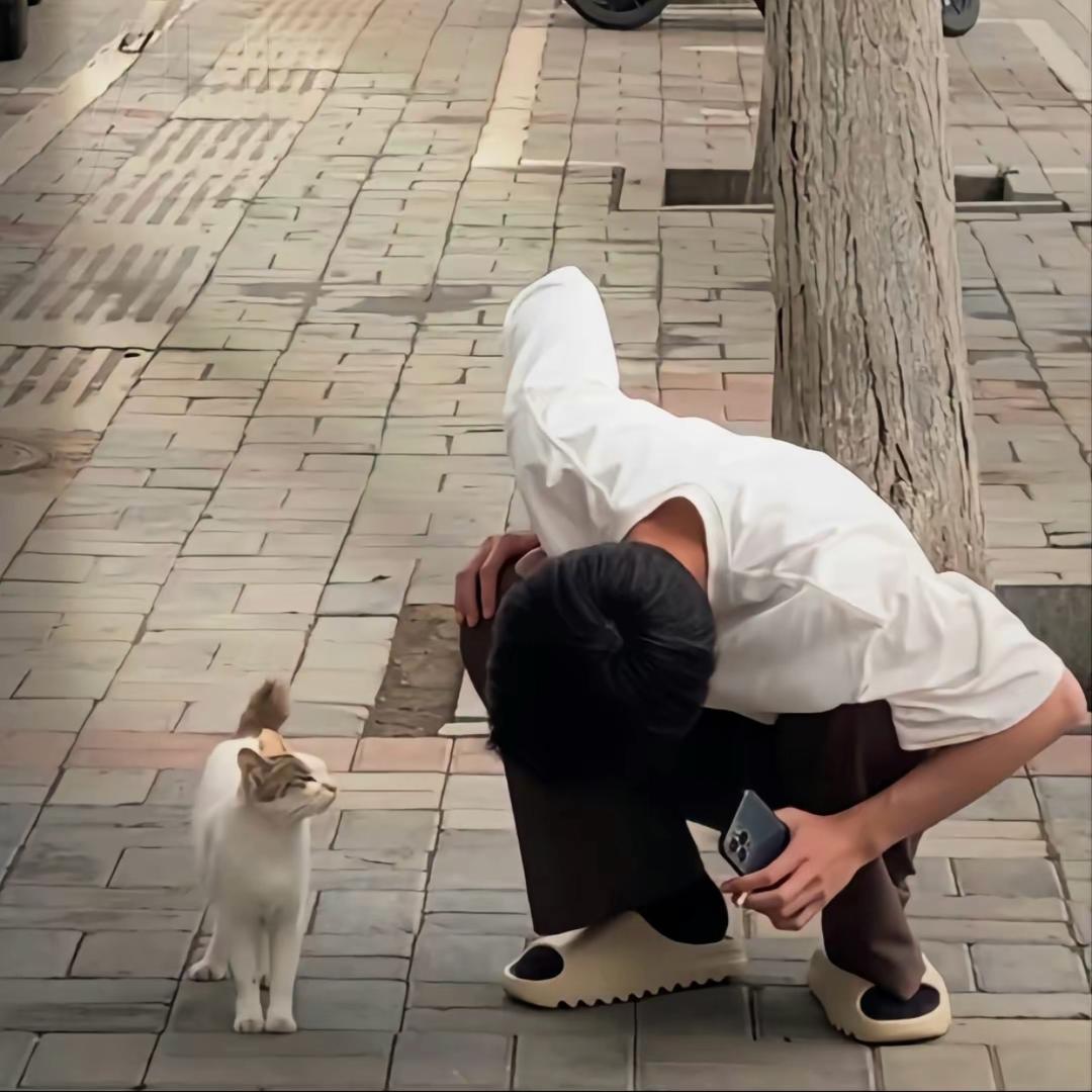 沐辰