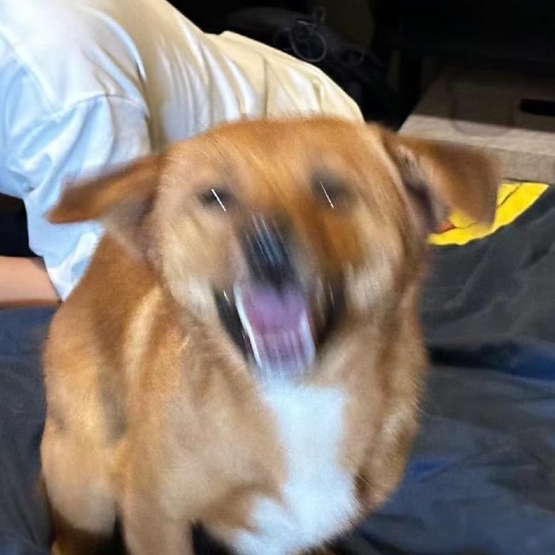 drama