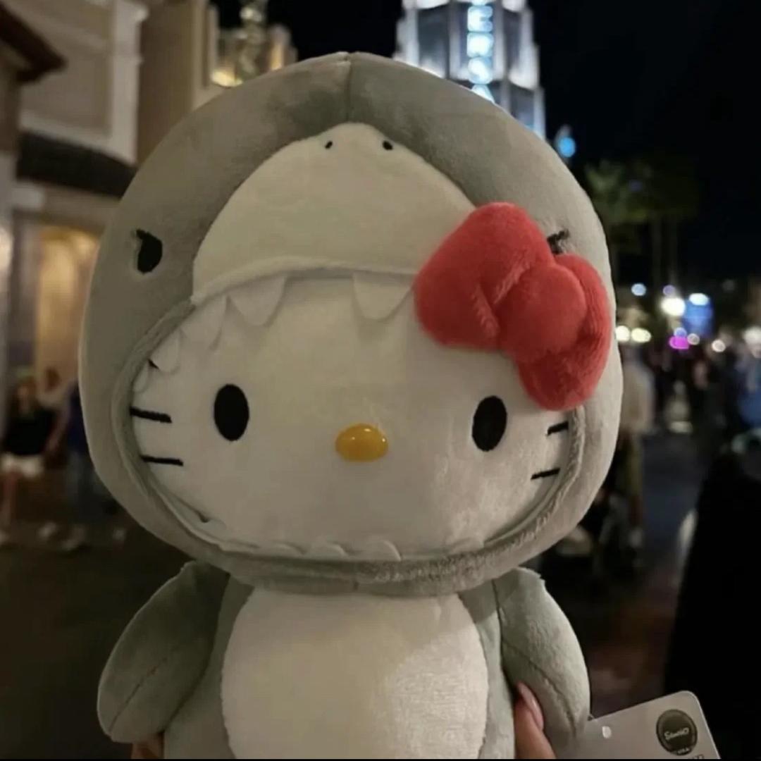 小y