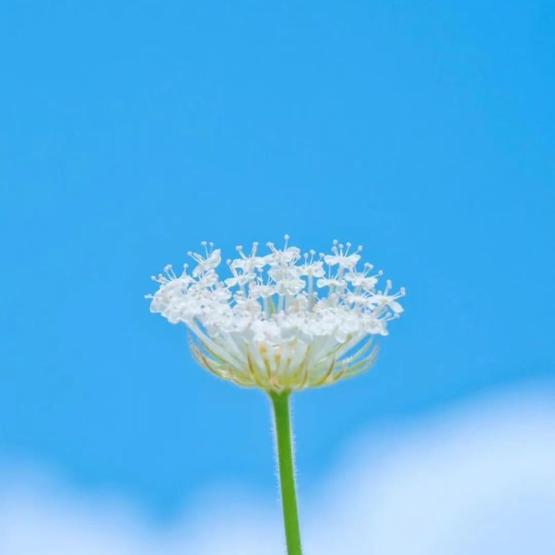 °  💋 是小郝吖🌹
