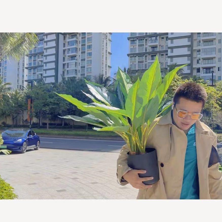 海棠湾保利海晏-齐祥永