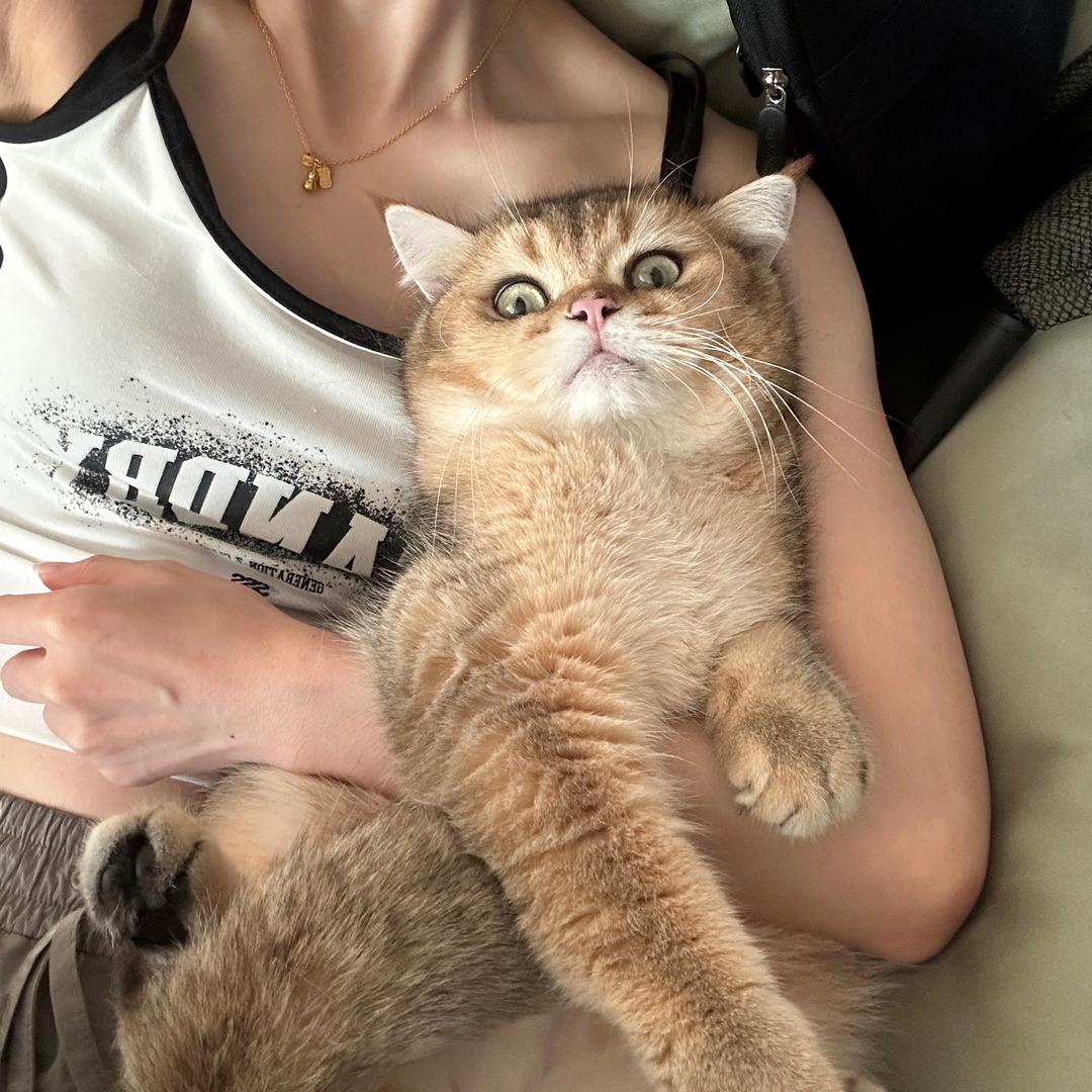 周小椰