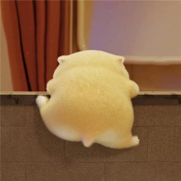 🐟的装修日记(软装中)