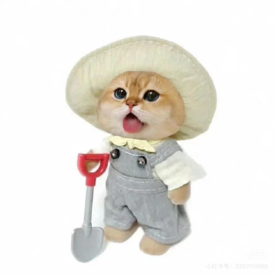 椒盐小宝