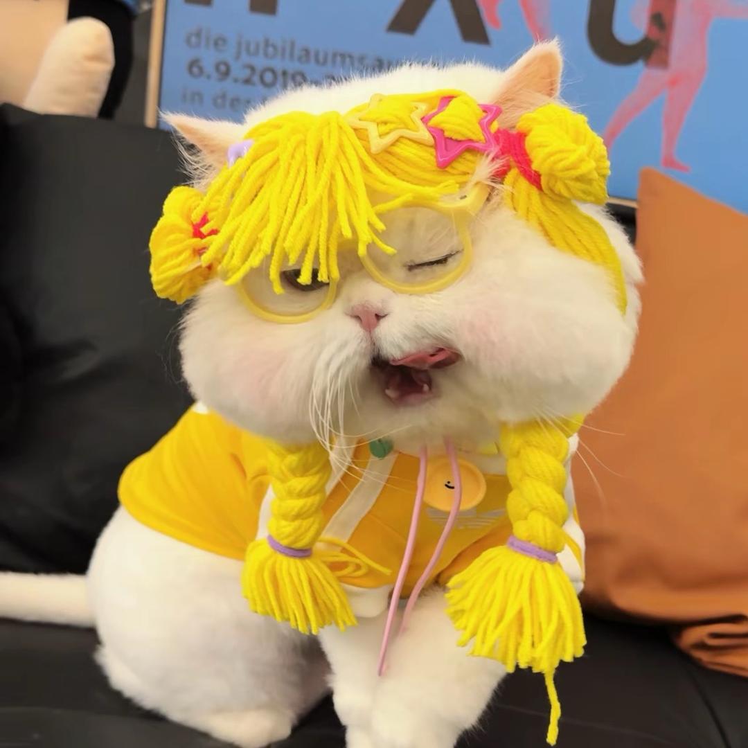 🌸нёιιö寶寶💜