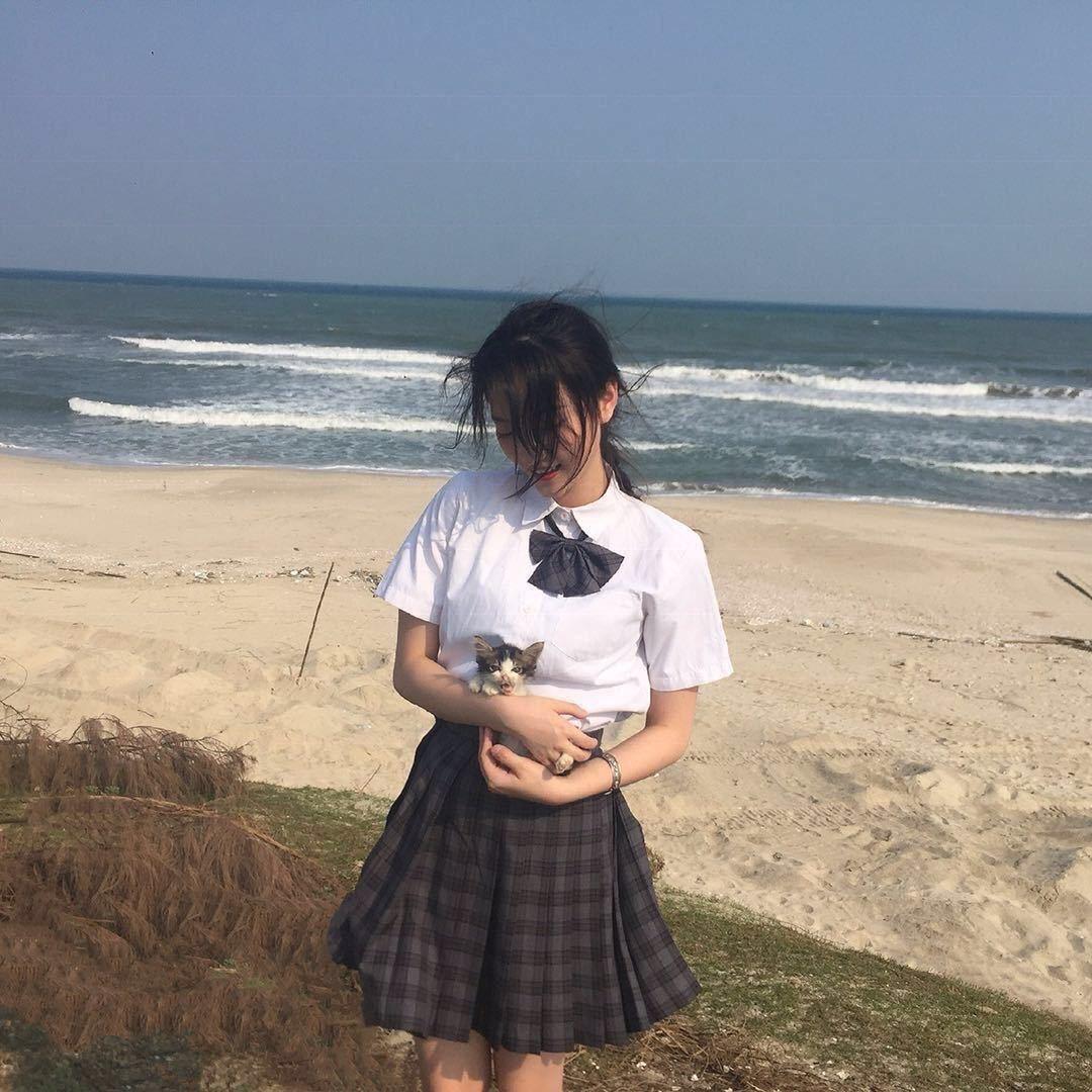 野生羊
