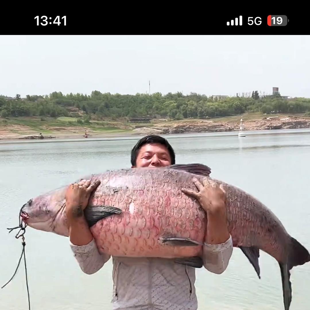 小黄甄选（丹江精品水产品）