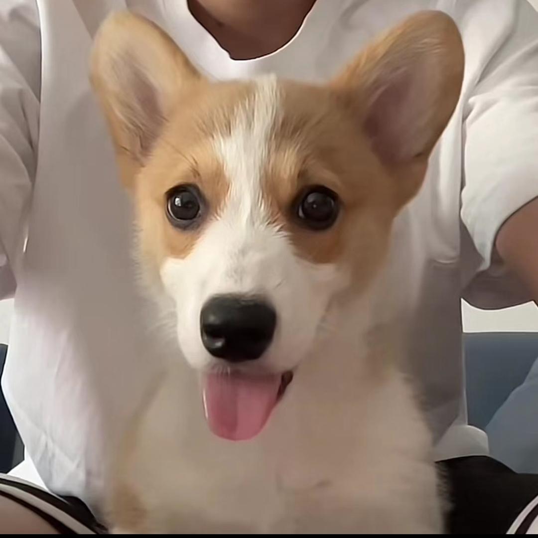 洗洗睡吧