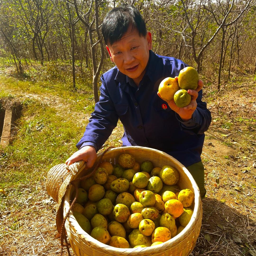 小六子老胡