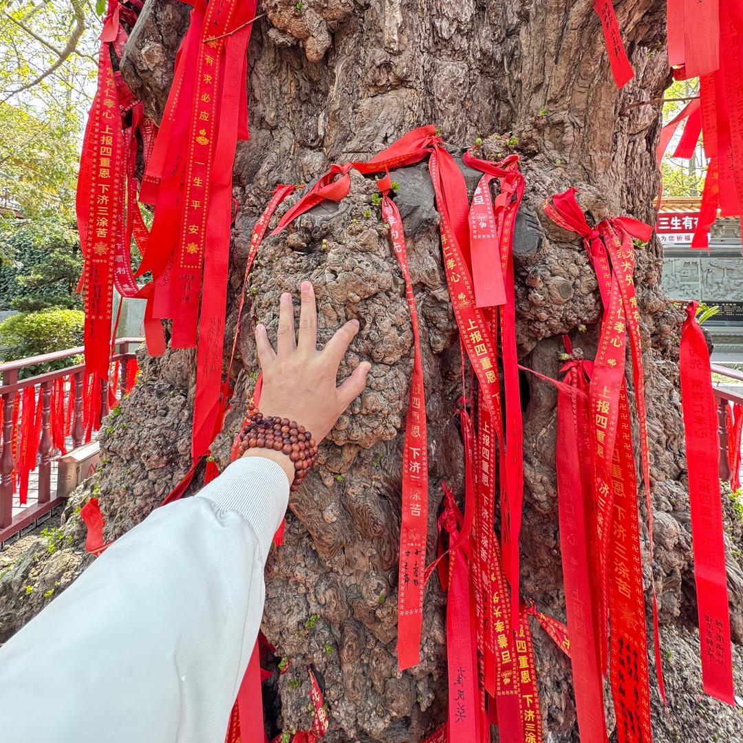 姜鑫比心