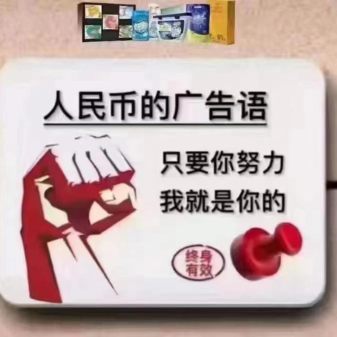 七蚁逛中国