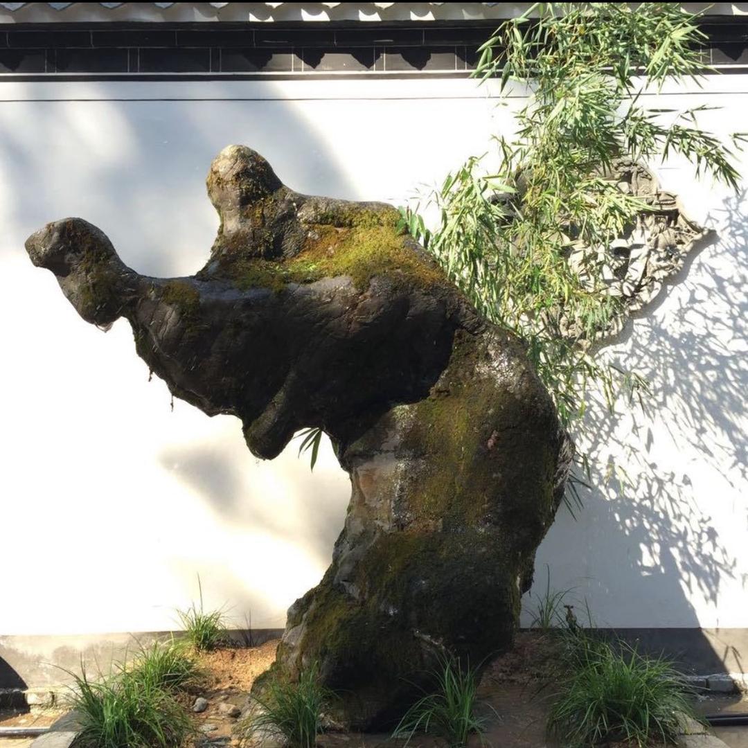 老野