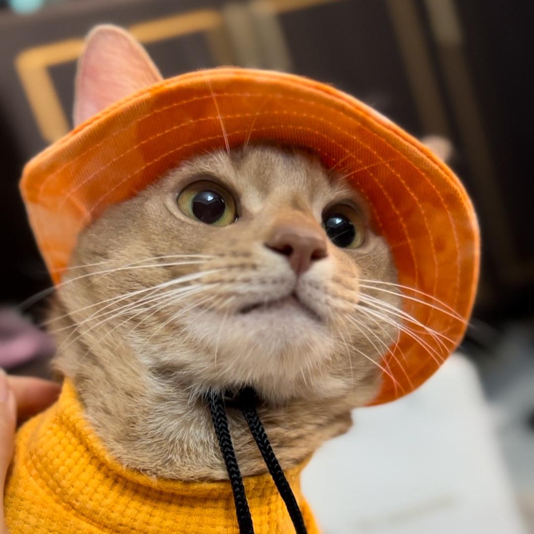 偷偷
