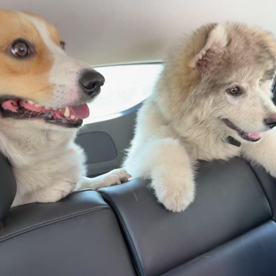 晟耐优家居精品严选店