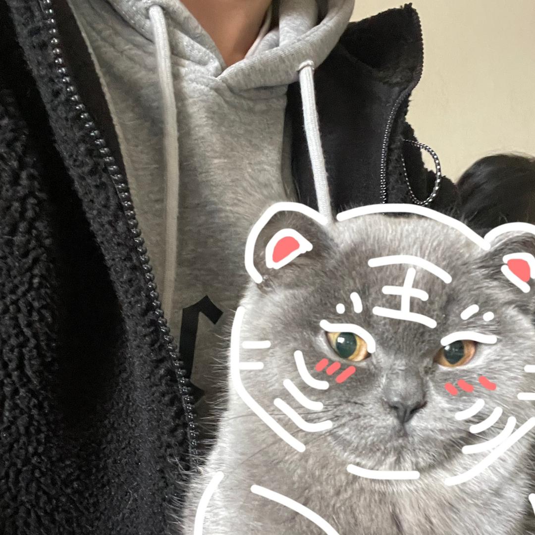 江小琦