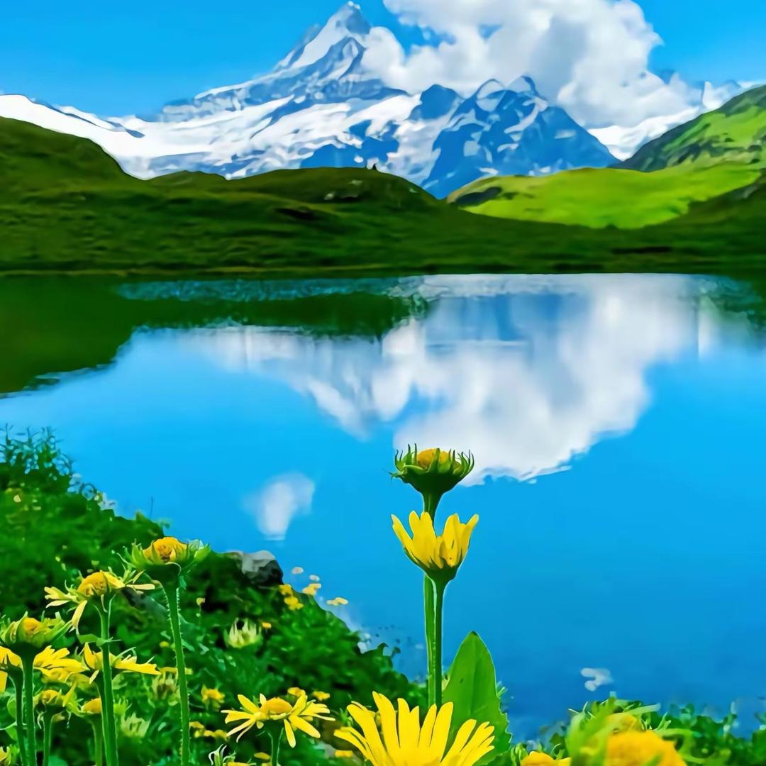 用入秋睡眠研究