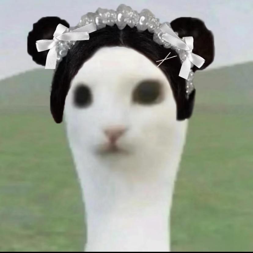 小坚狗狗
