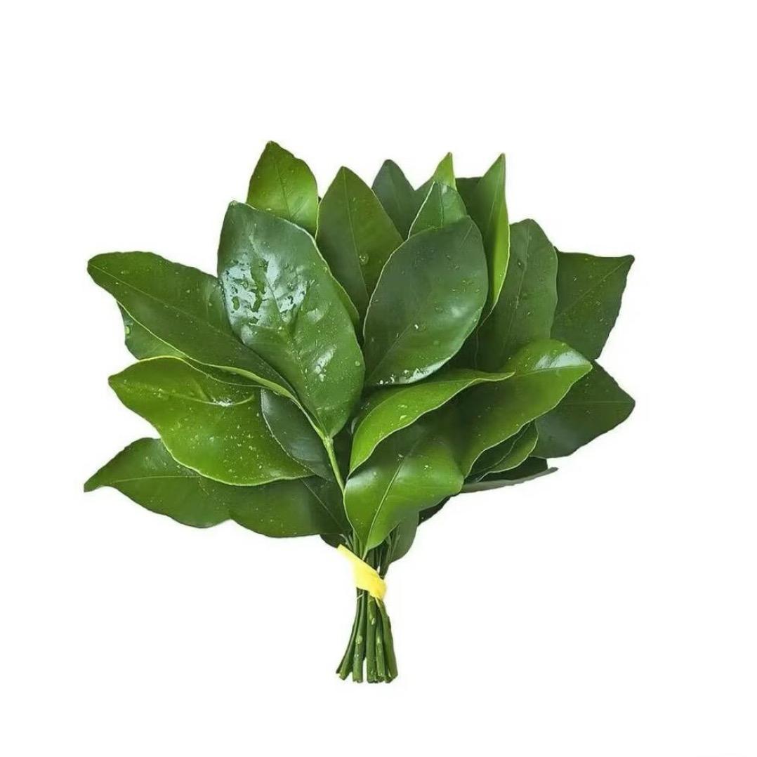 明明就
