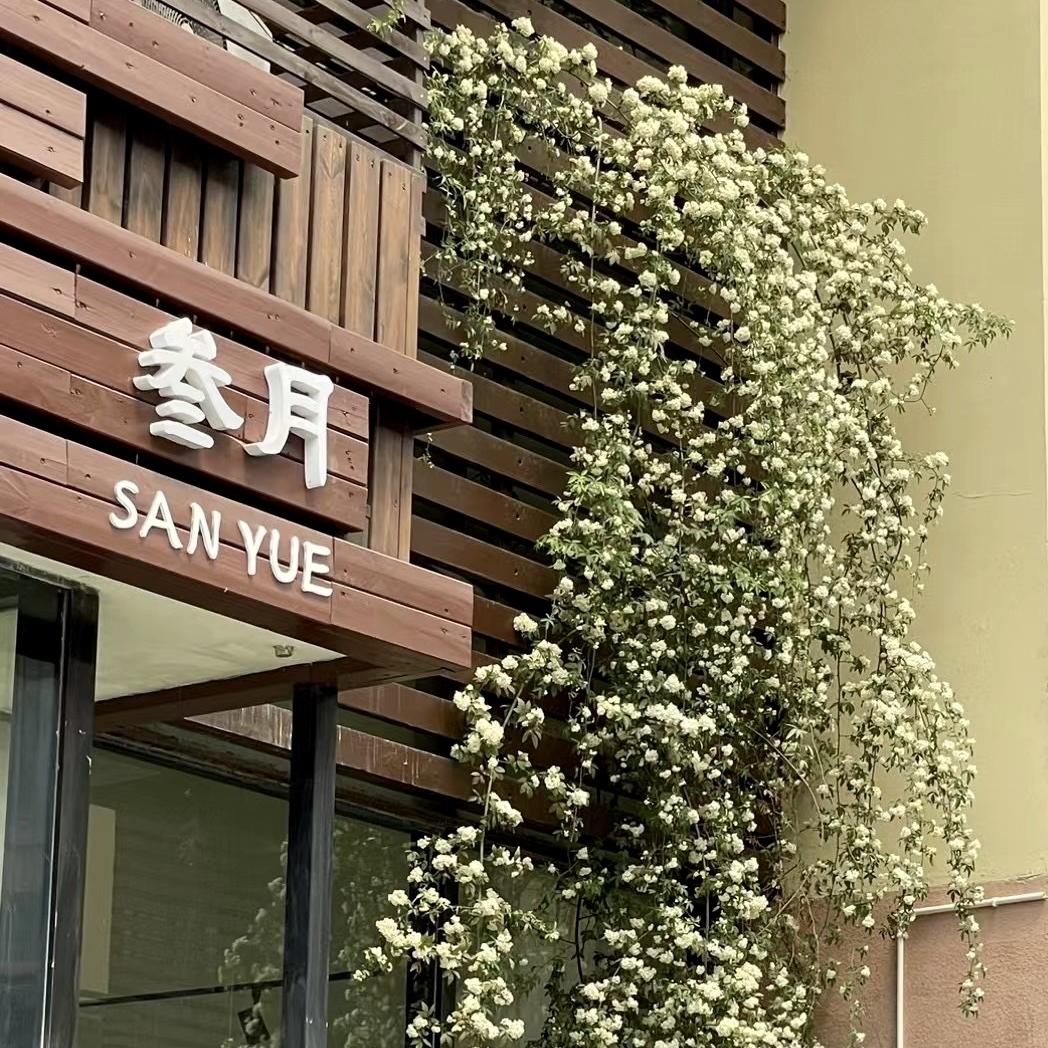 桐乡叁月.SANYUE服装店女装
