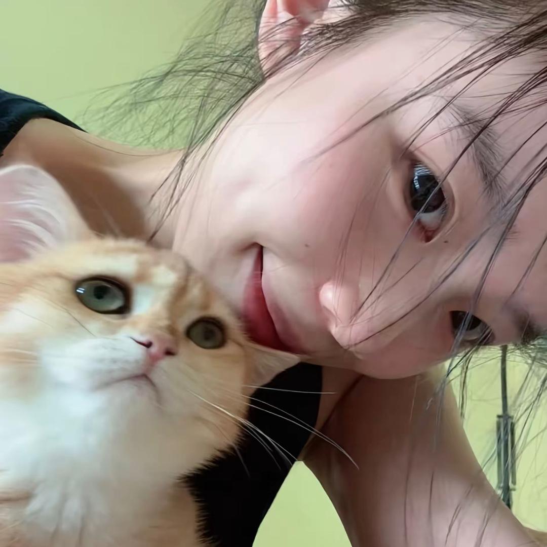 江苏宋佳