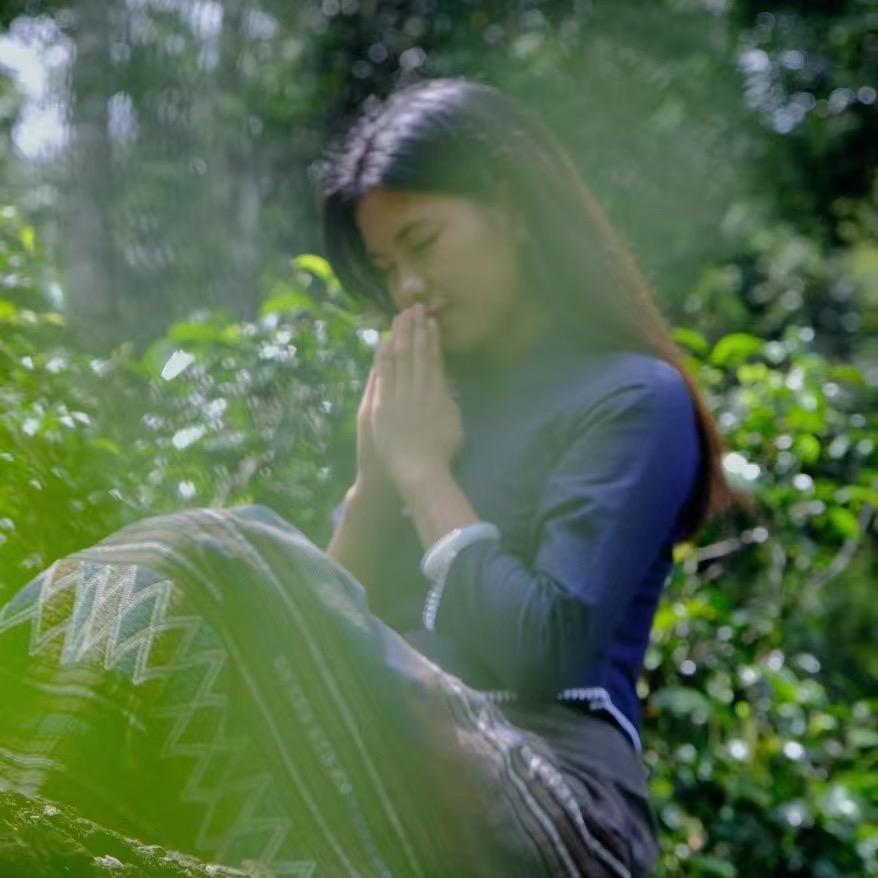 景迈山茶农南姑娘