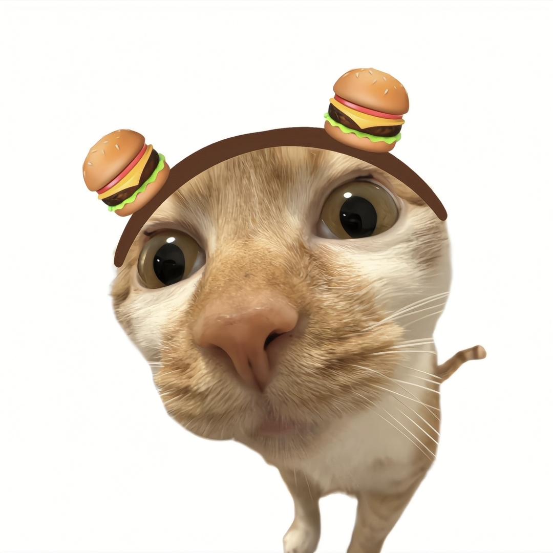 屿.