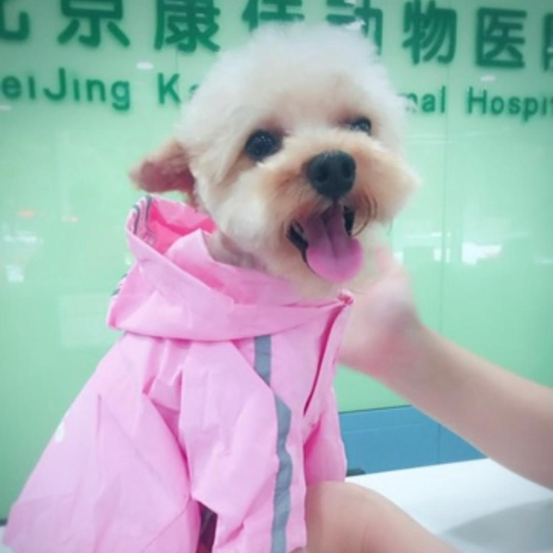 🌸 Jiᴗingᥫᩣ ʚ🧸ྀིɞ