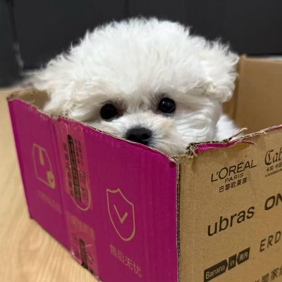 P宝爱洗澡🛀🏻