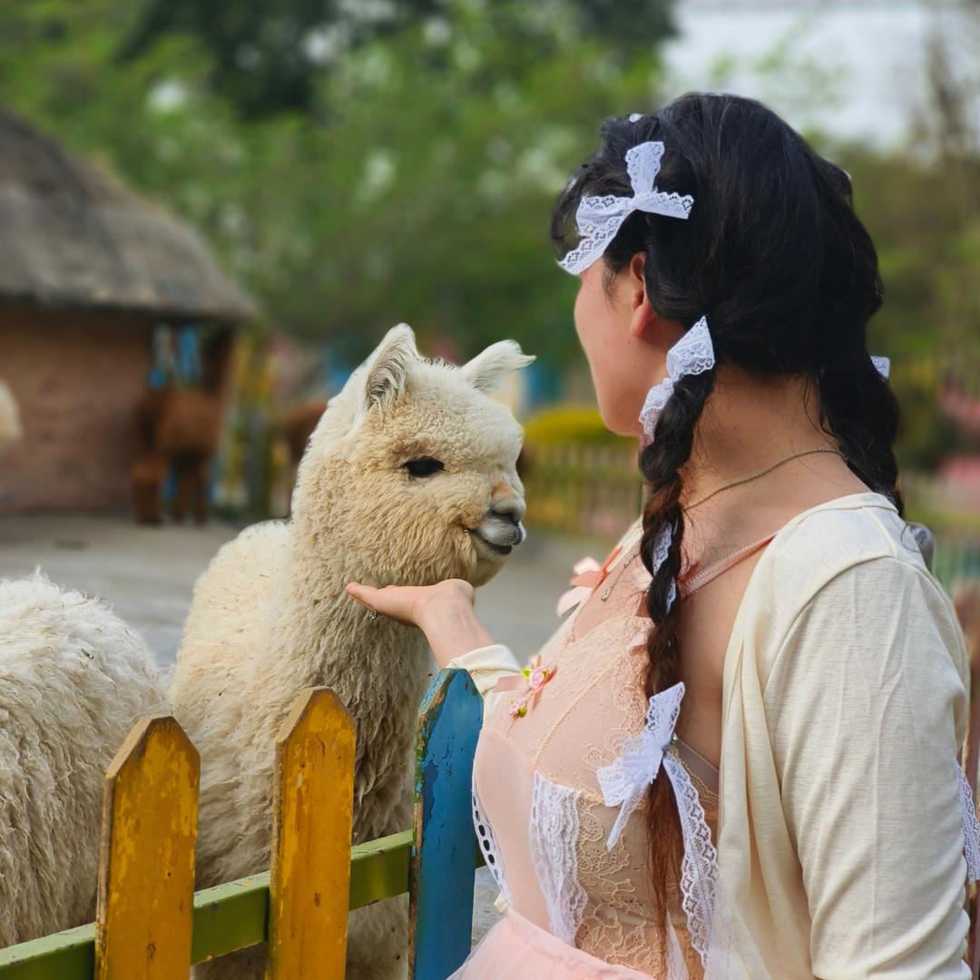 宁波小团子（爱柯迪）进厂日记🧚