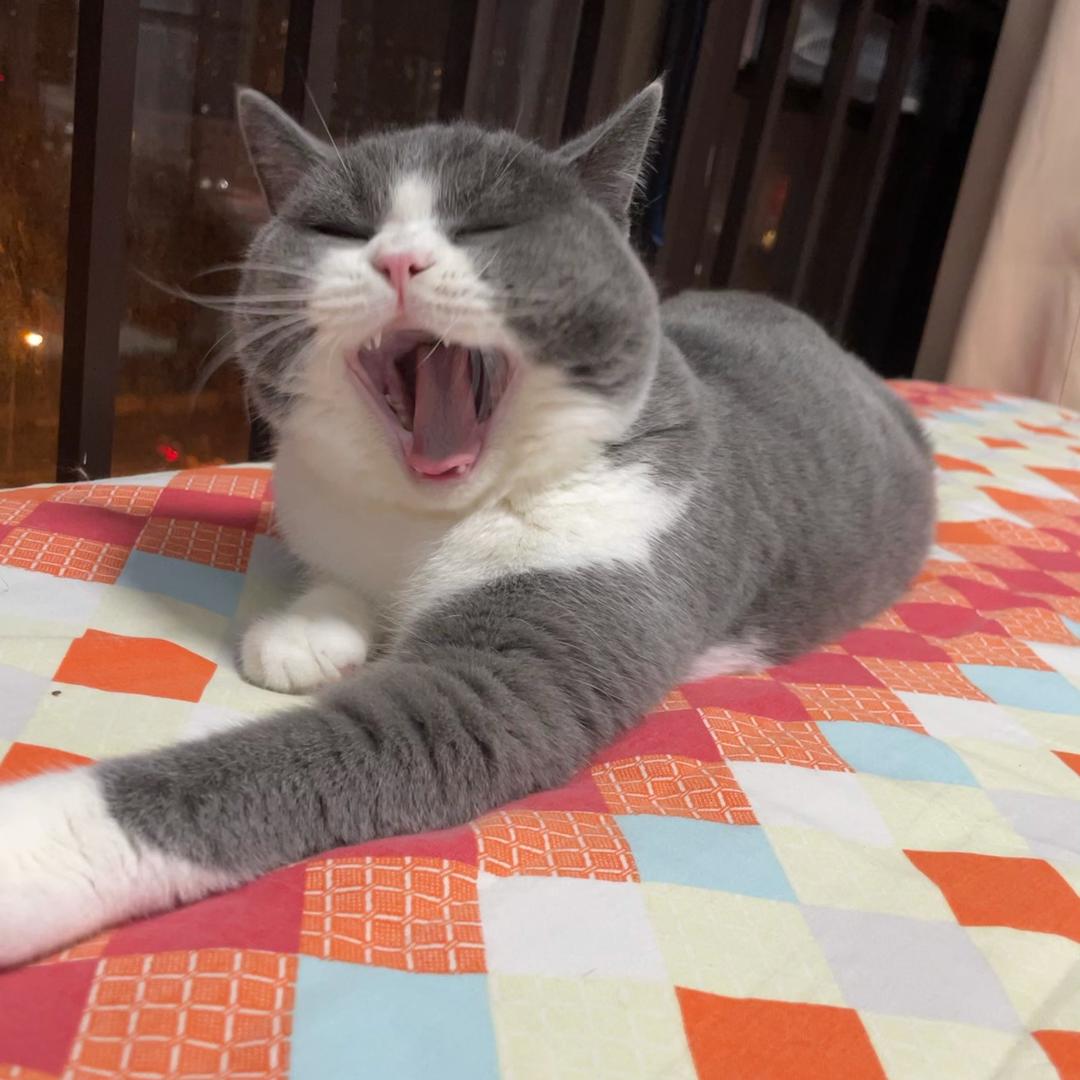 八百标兵奔北坡