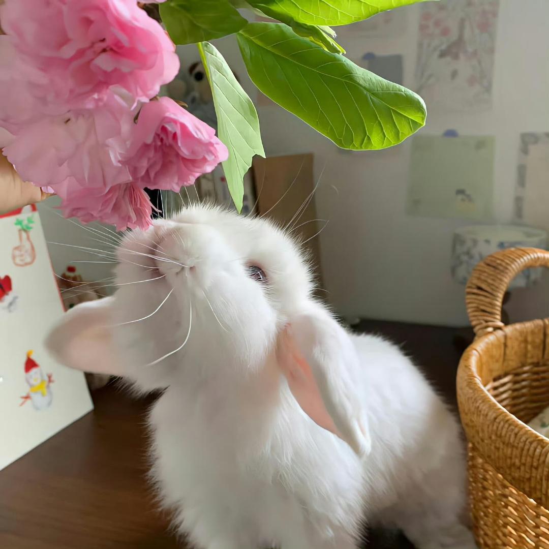 美女Emo了（专注健身）