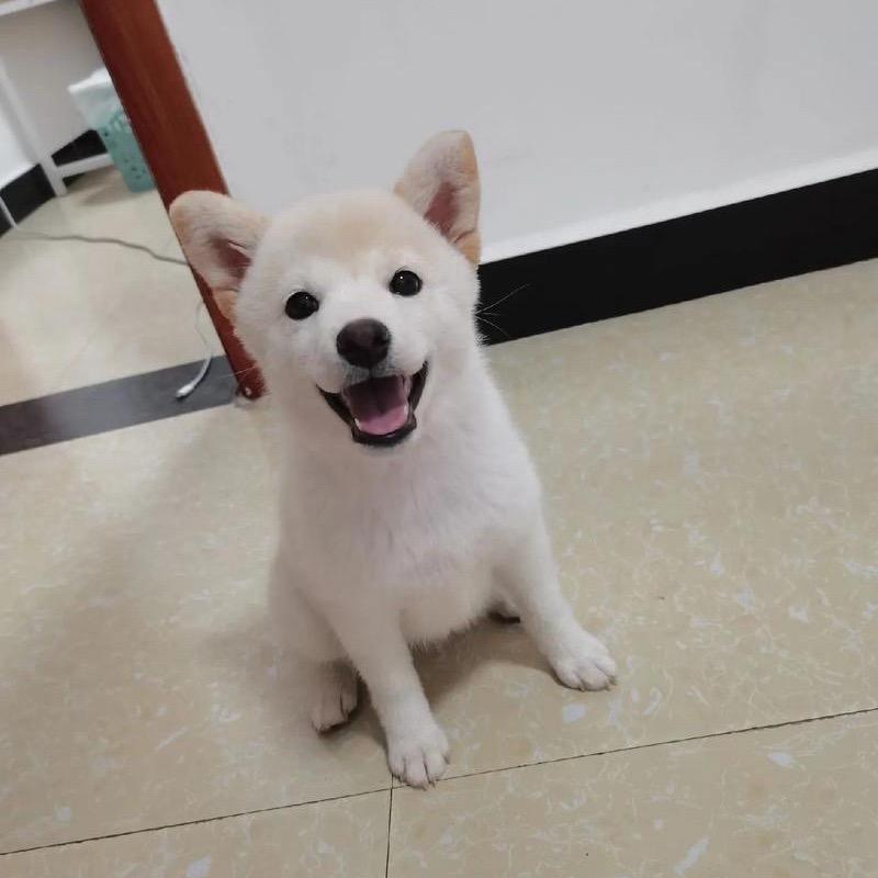 曾經→年輕←√過
