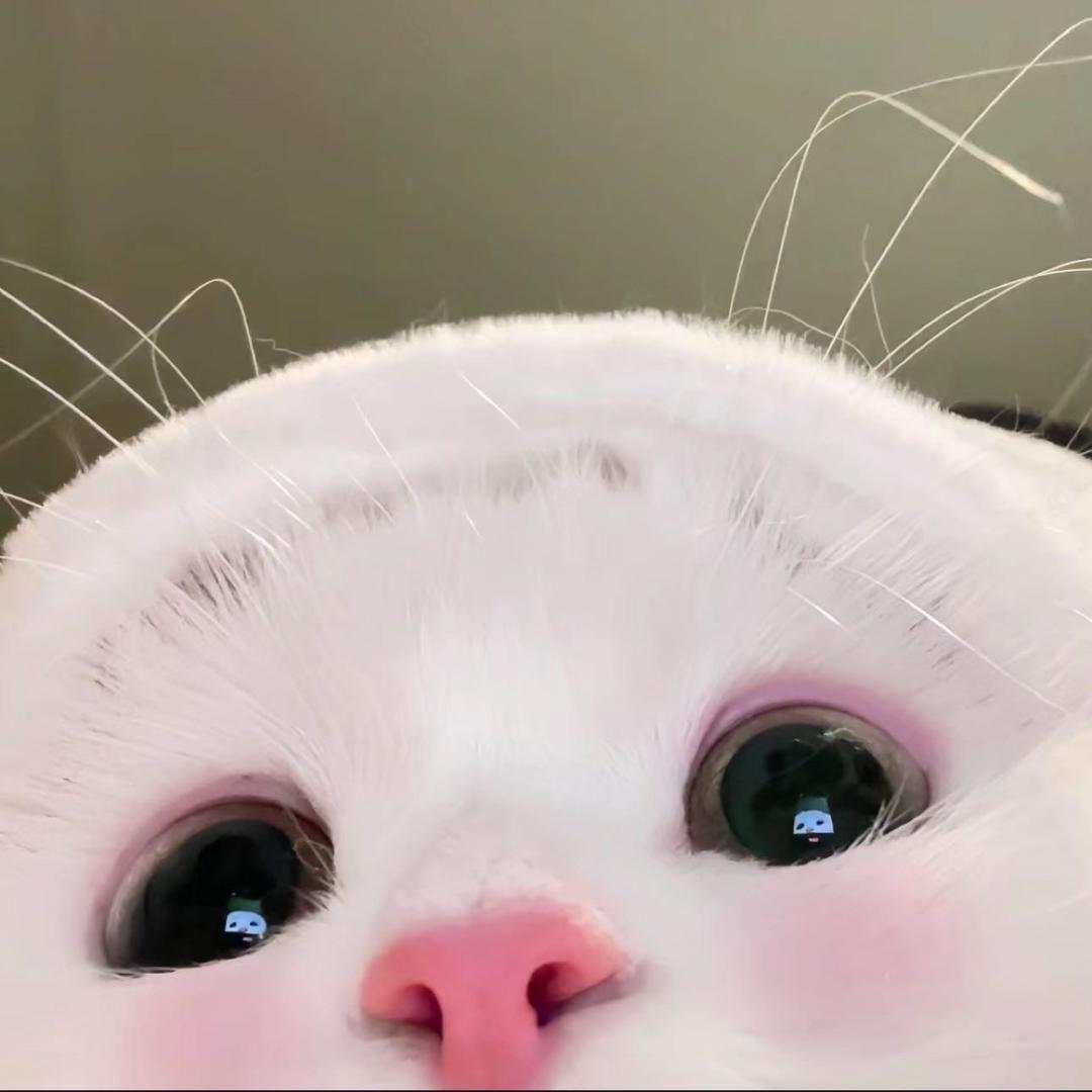 H2anii^