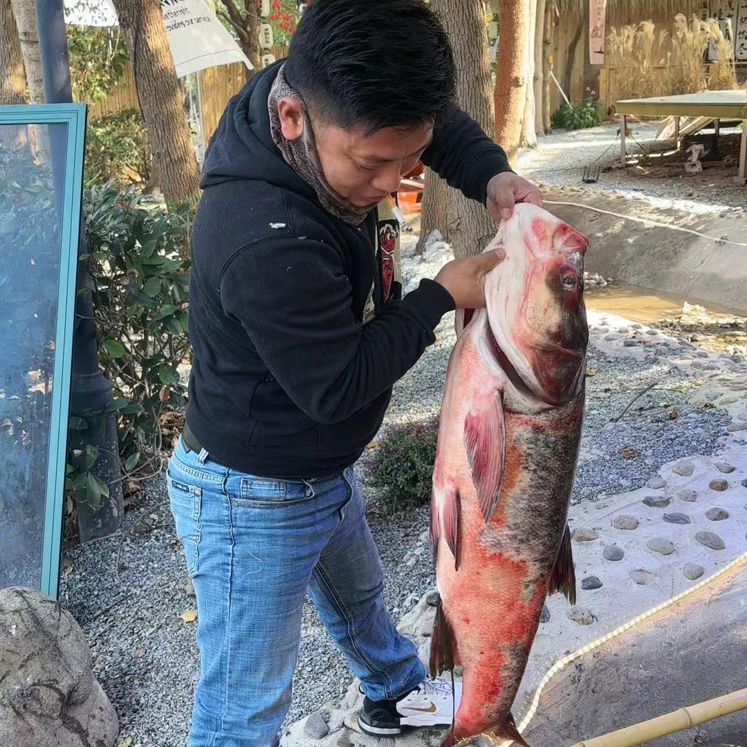 御园·露营·预约号