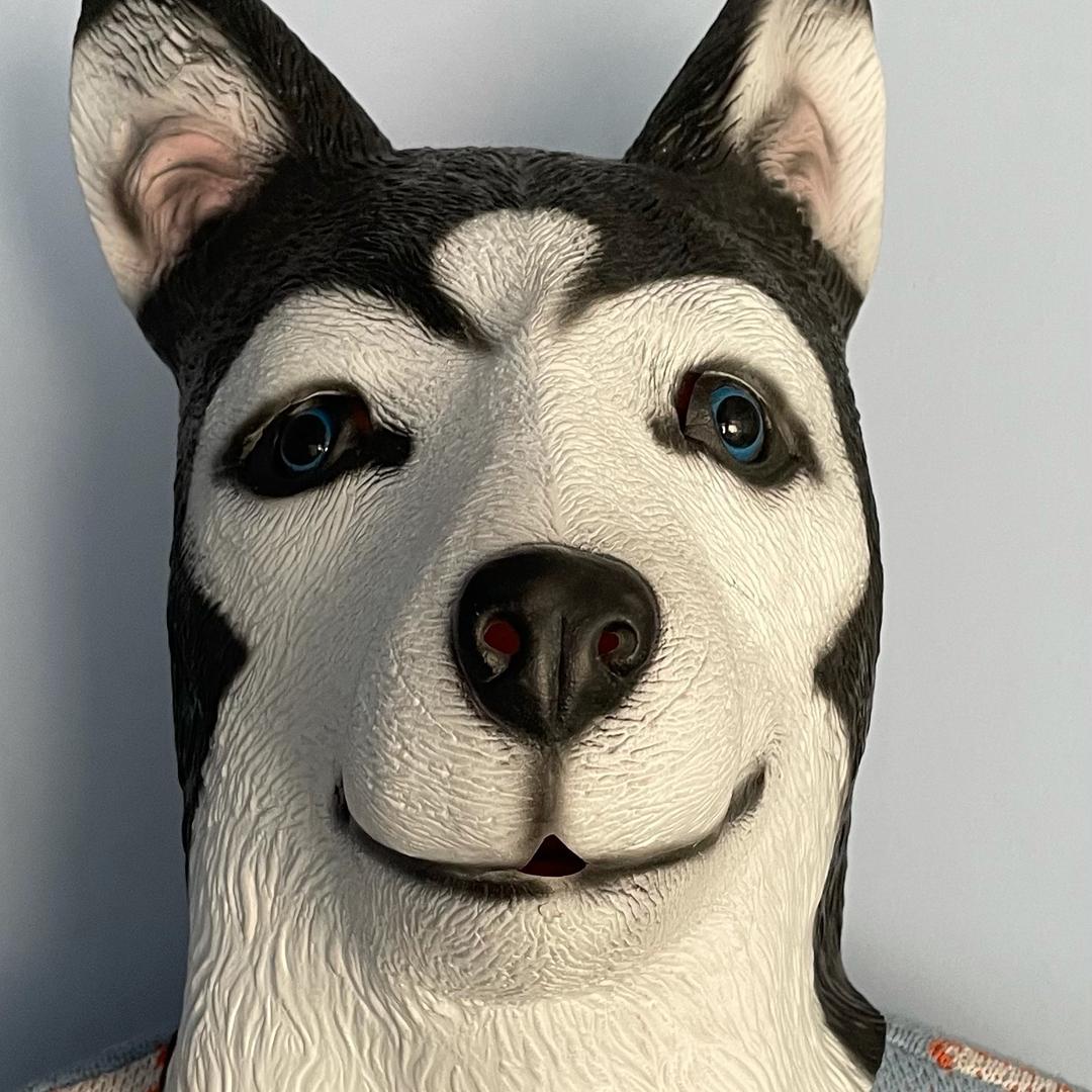 凌源万千宠爱宠物会馆🐶