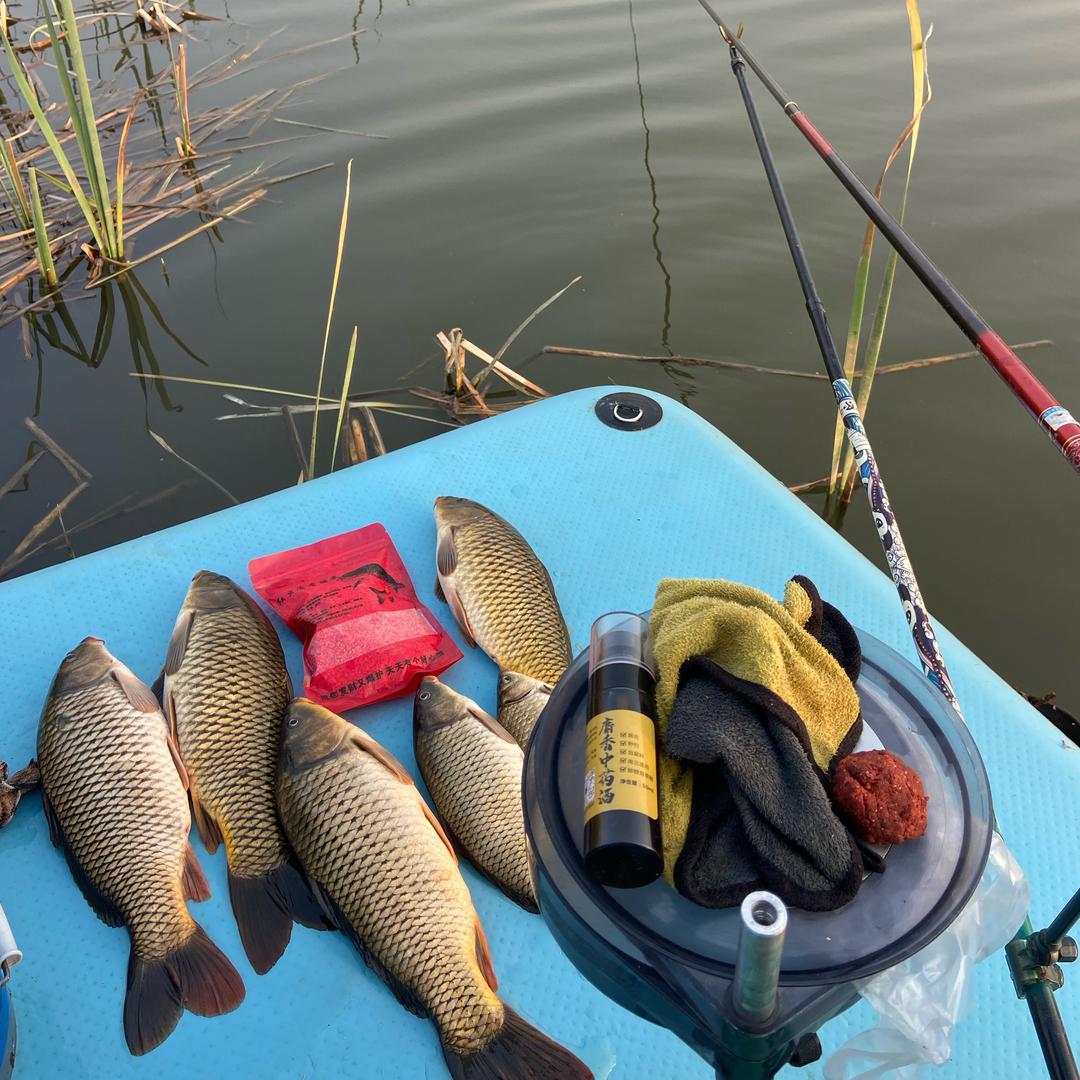 鱼道笠窝料厂家店