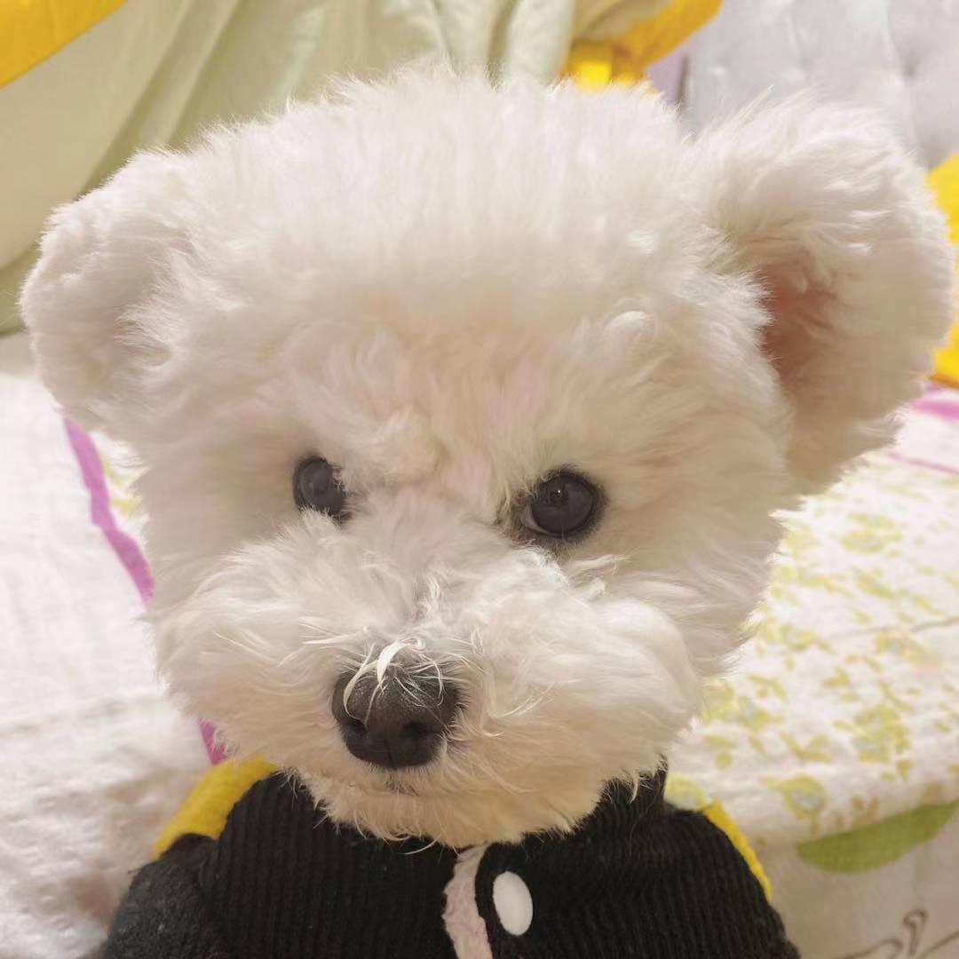 🌈伸个懒腰吧！