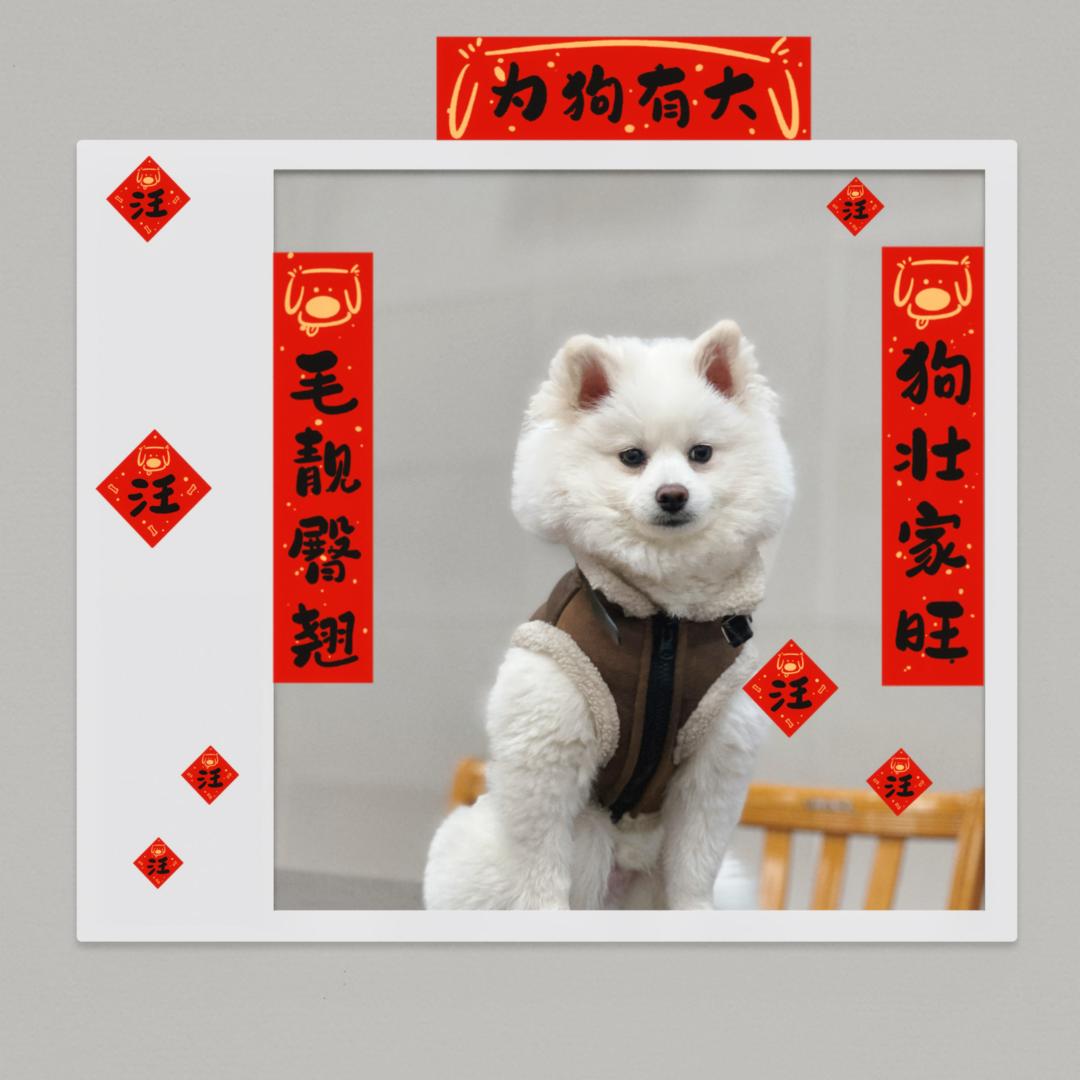 姚瑶🍁口袋零食🍁