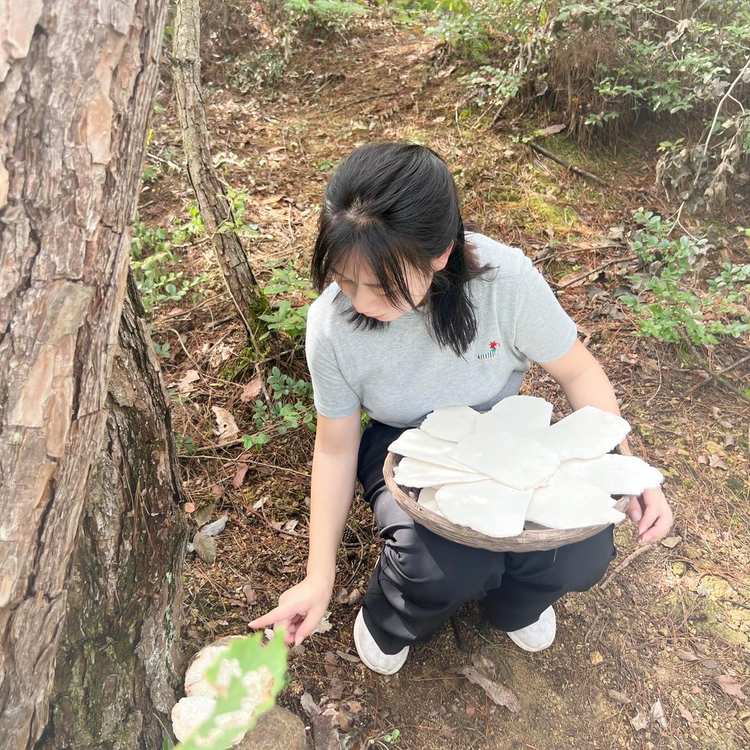 田小溪（岳西茯苓）