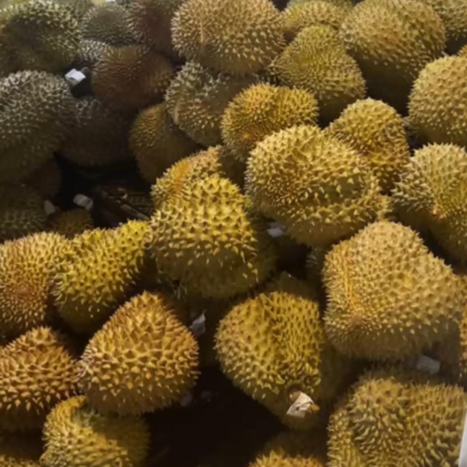 榴莲源头好货（百秀传媒）