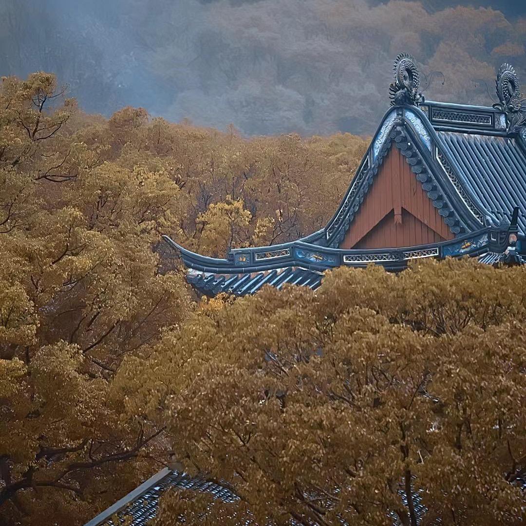 普陀山慧沁