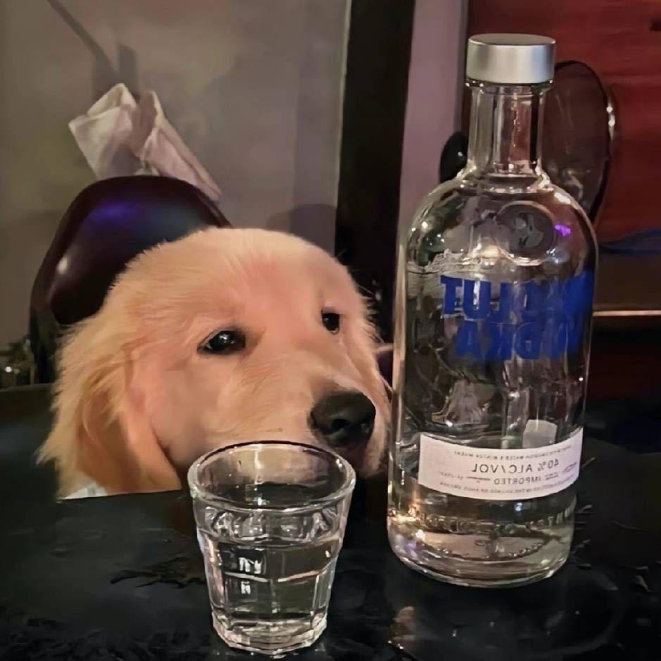 菜狗