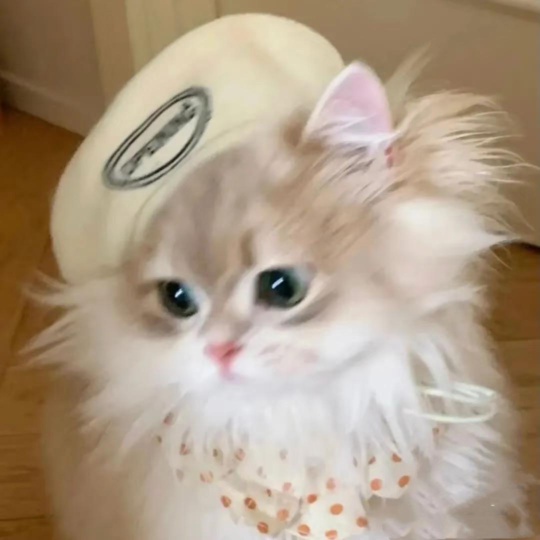 桃酉禾