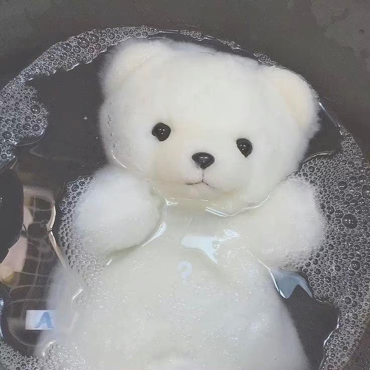 蛋蛋今天喝点啥
