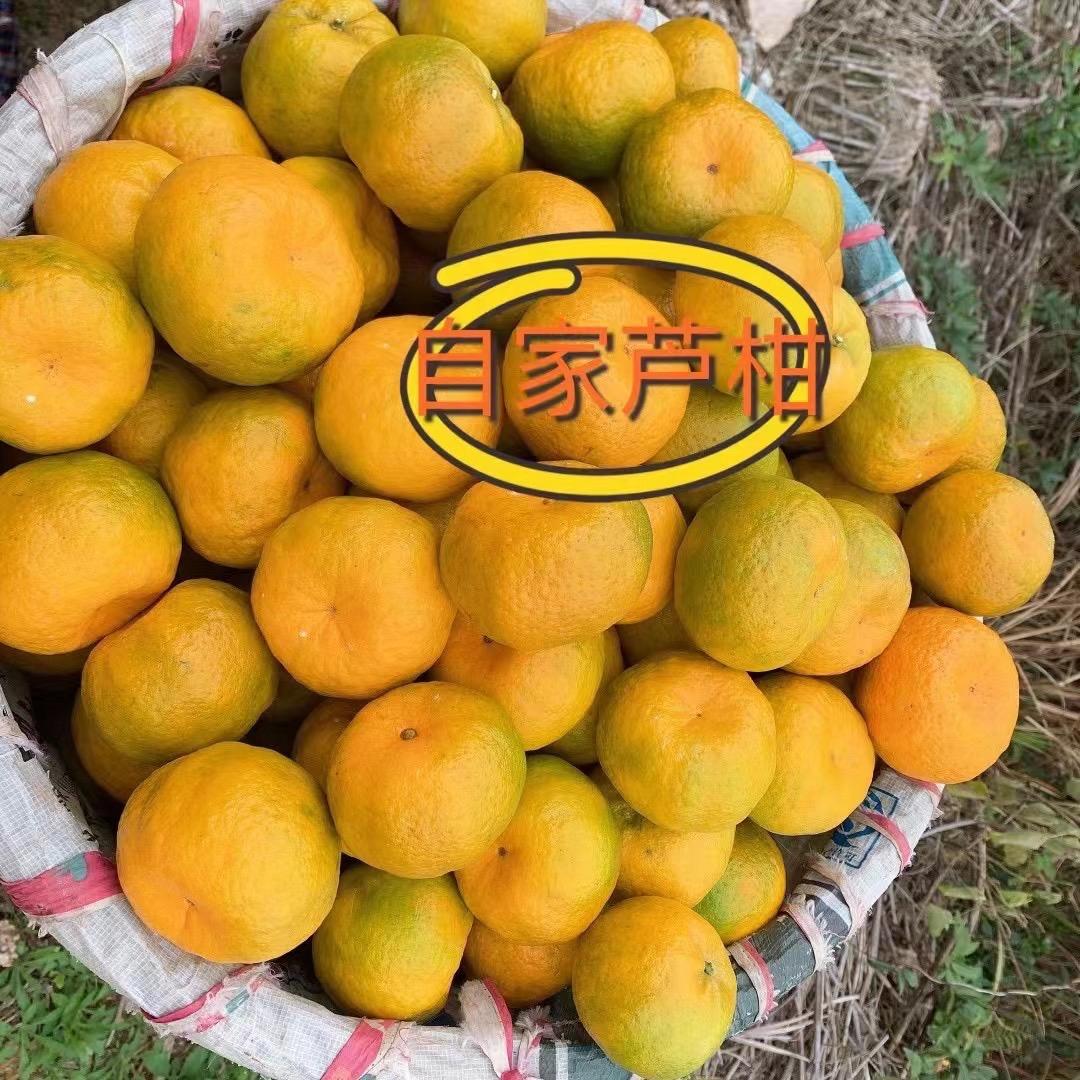 我来也