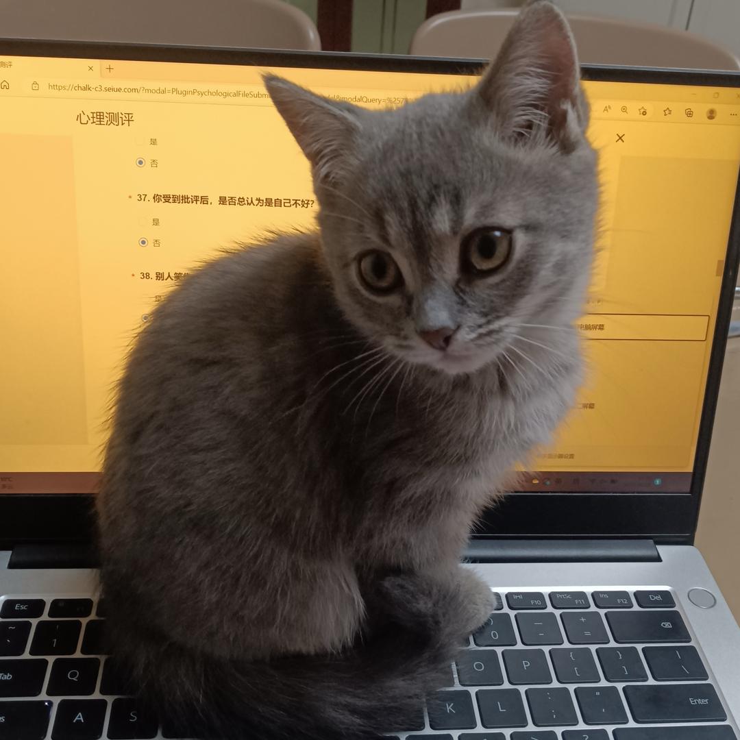 才才酱必胜✌️