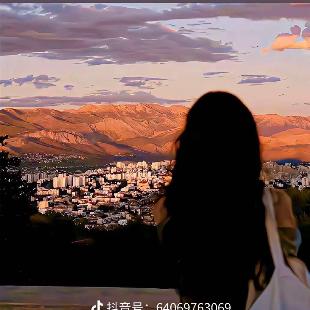 胡集五菱汽车李雪静