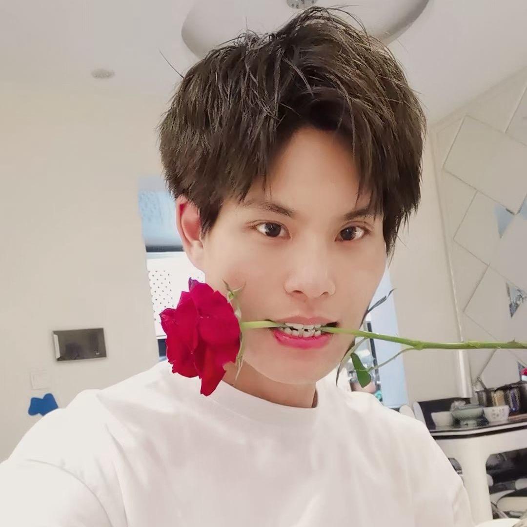 云南鲜花·阿冰