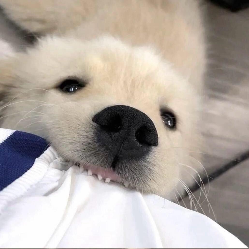 小.徐